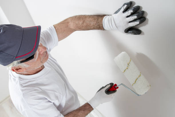 Best Mold Damage Restoration  in Winfield, IL