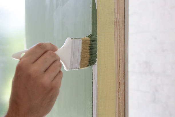 Best Black Mold Removal  in Winfield, IL