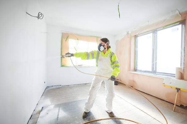 Reliable Winfield, IL Mold Removal Solutions