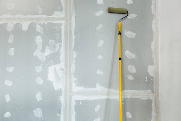 Best Mold Remediation for Vacation Homes  in Winfield, IL