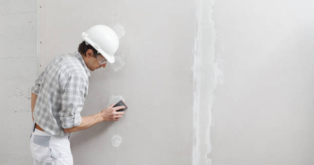 Mold Remediation for Vacation Homes in Winfield, IL