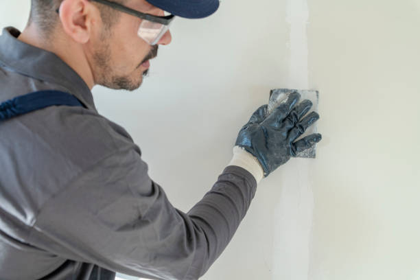 Best Asbestos and Lead Testing During Mold Inspection  in Winfield, IL