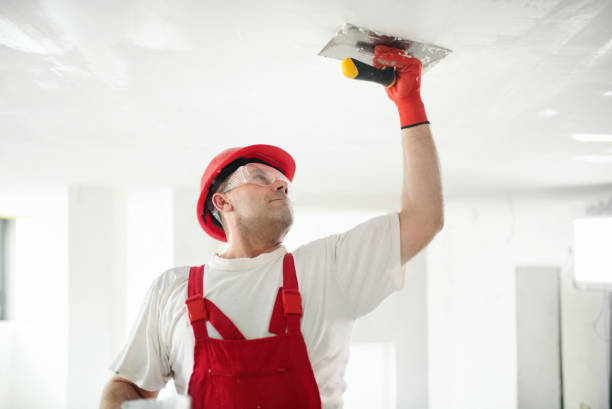 Best Water Damage & Mold Remediation  in Winfield, IL