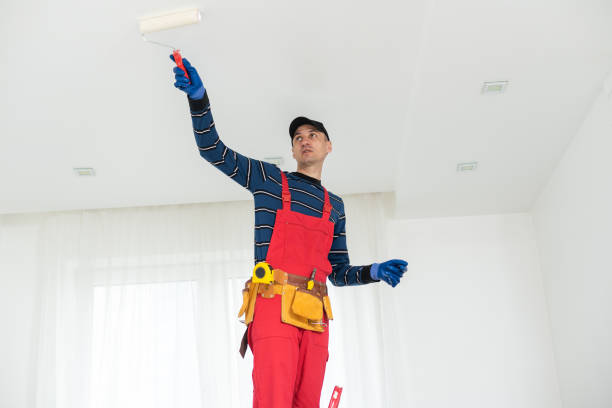 Best Mold Prevention Services  in Winfield, IL