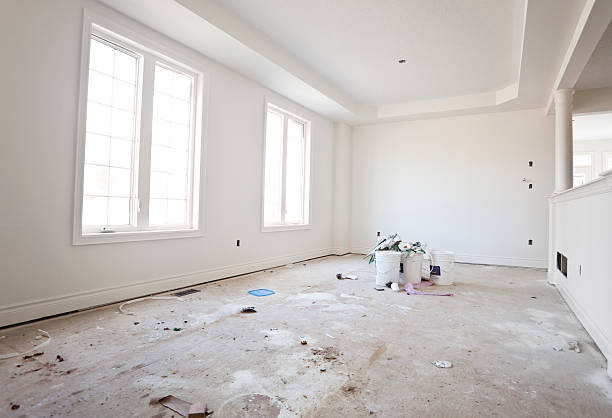Best Attic Mold Removal  in Winfield, IL