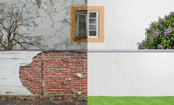 Best Real Estate Mold Inspection  in Winfield, IL