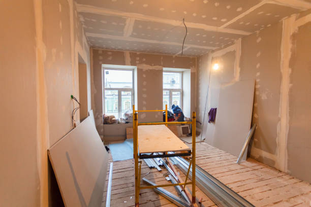 Best Comprehensive Air Testing for Mold Contaminants  in Winfield, IL