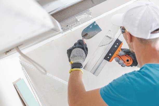 Best Forensic Mold Investigation  in Winfield, IL